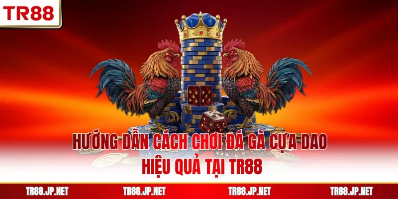 Hướng Dẫn Cách Chơi Đá Gà Cựa Dao Hiệu Quả Tại TR88
