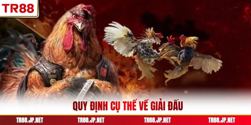 Quy định cụ thể về giải đấu